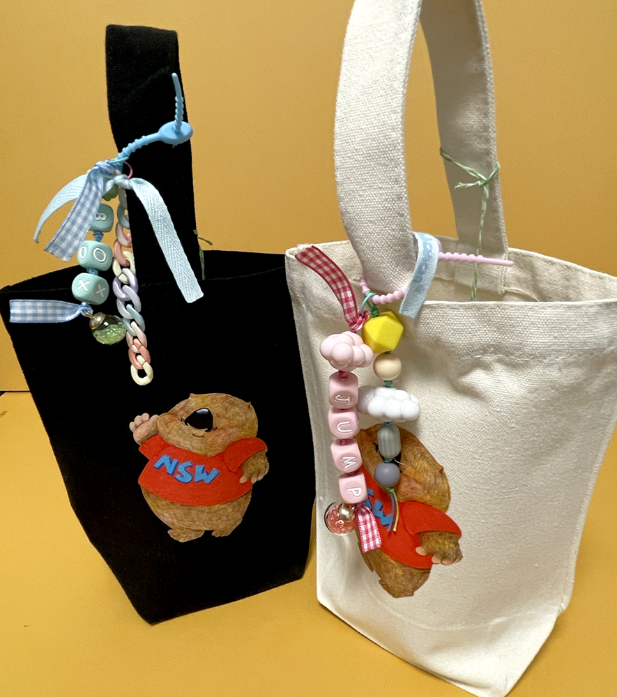 Small Canvas Tote Bag with beads Charms - OZ